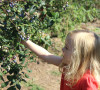 Blueberry Picking at The Berry Patch